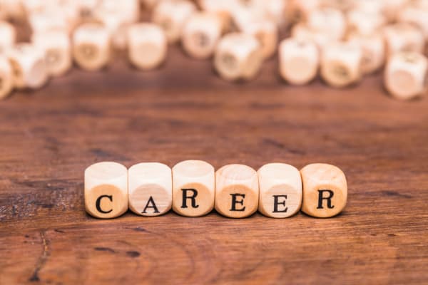 Career Options after BBA