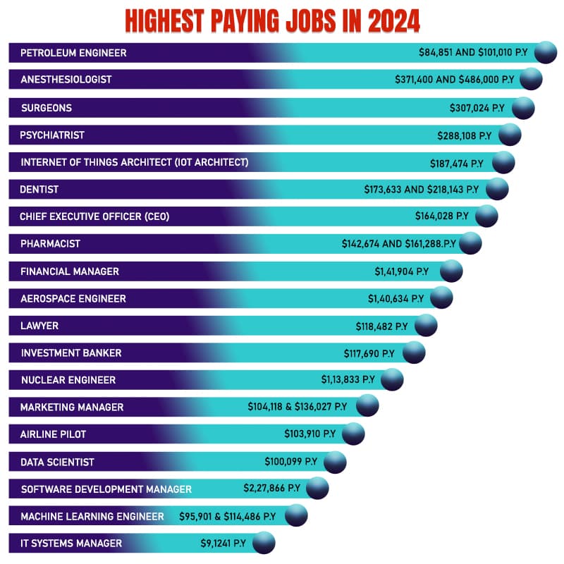 Highest Paying Jobs In 2024