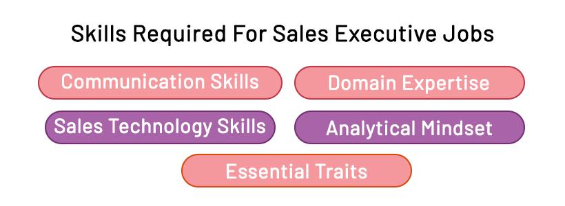 Skills Required For Sales Executive Jobs In 2024