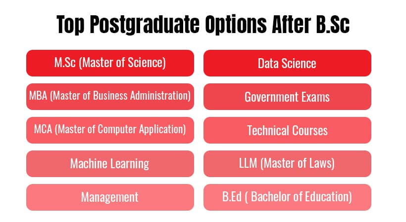 Top Postgraduate Options After B.Sc