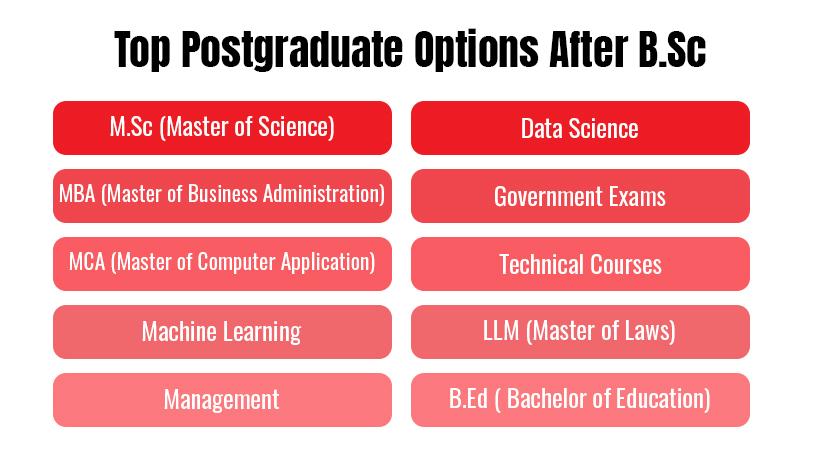 Top Postgraduate Options After B.Sc