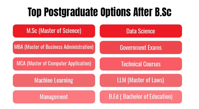 Top Postgraduate Options After B.Sc