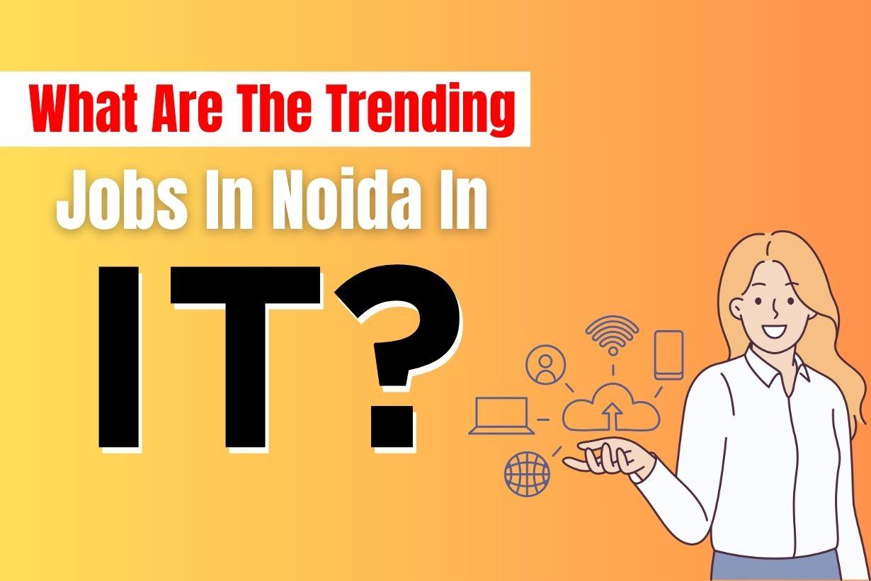 jobs in noida in IT