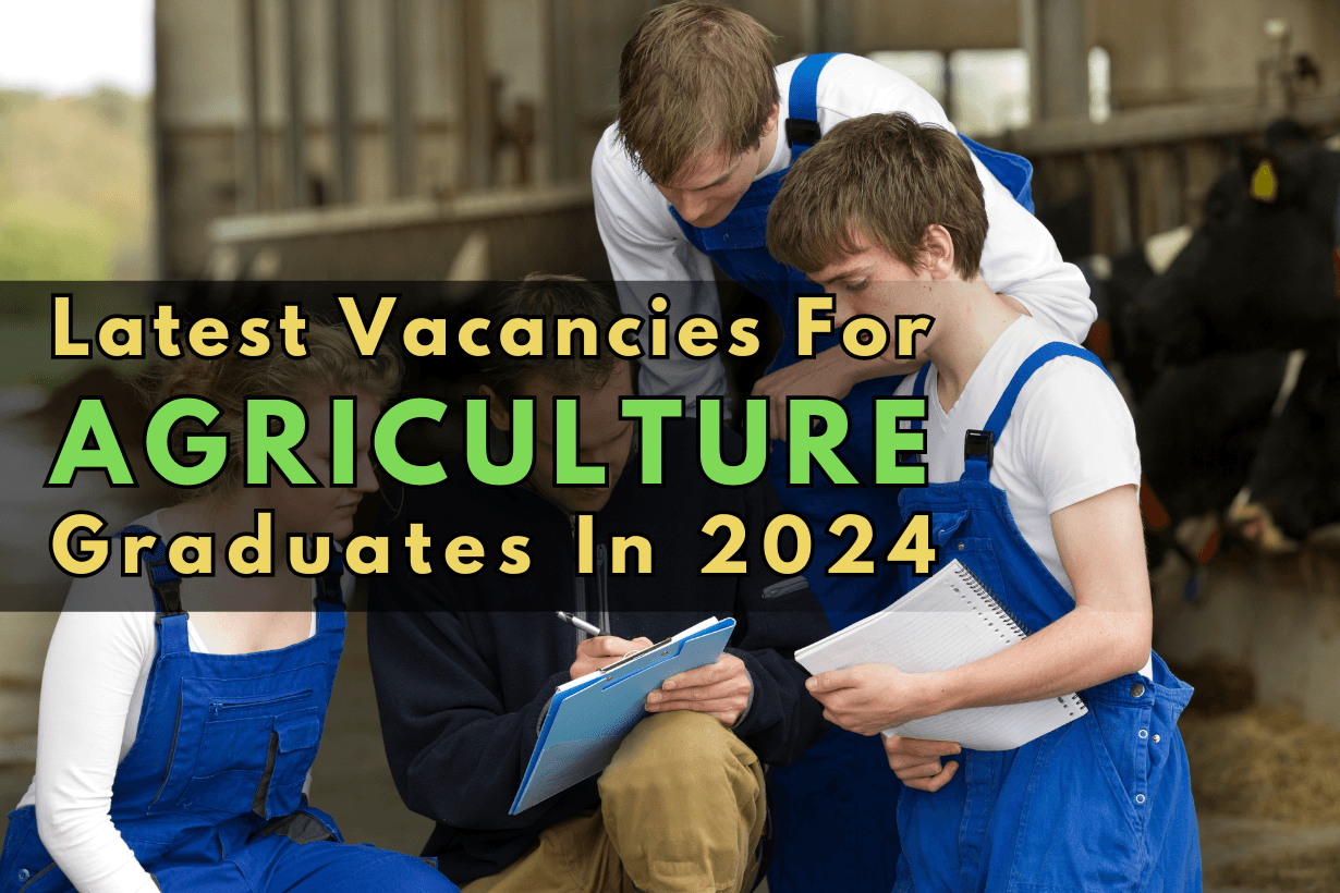 Latest Vacancies For Agriculture Graduates In 2024