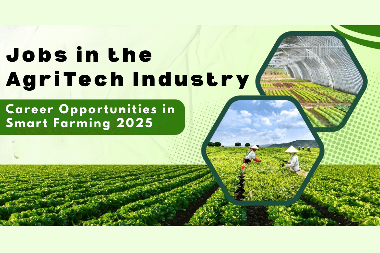 Jobs in the AgriTech Industry
