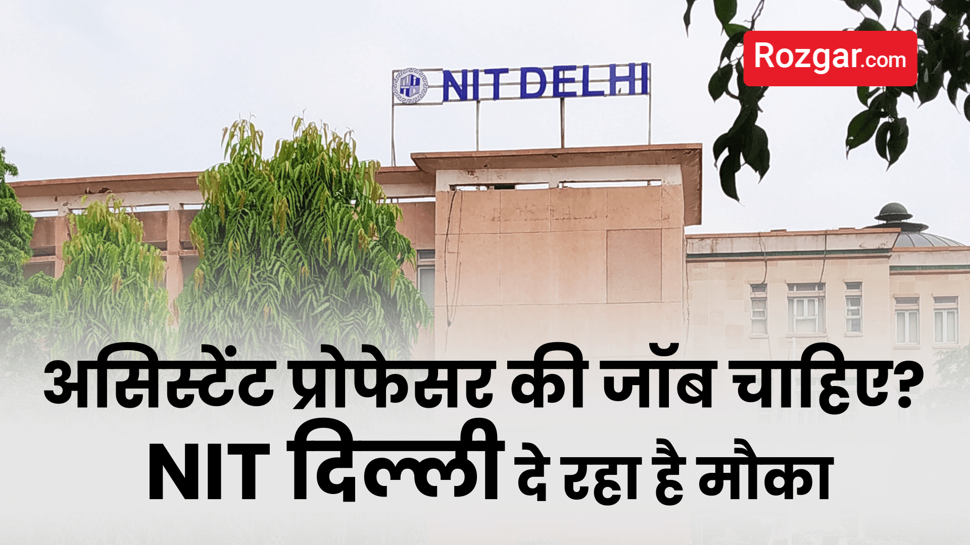  असिस्टेंट प्रोफेसर की जॉब चाहिए? NIT दिल्ली दे रहा है मौकाअसिस्टेंट प्रोफेसर की जॉब चाहिए? NIT दिल्ली दे रहा है मौका