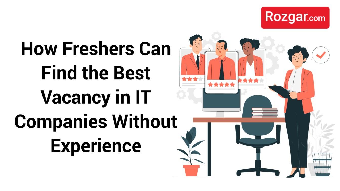 How Freshers Can Find the Best IT Vacancies Without Experience