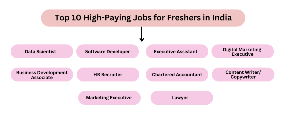 top 10 highest paying jobs for freshers